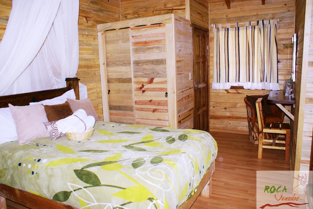 Villa Rocavenados Mascota Zimmer foto