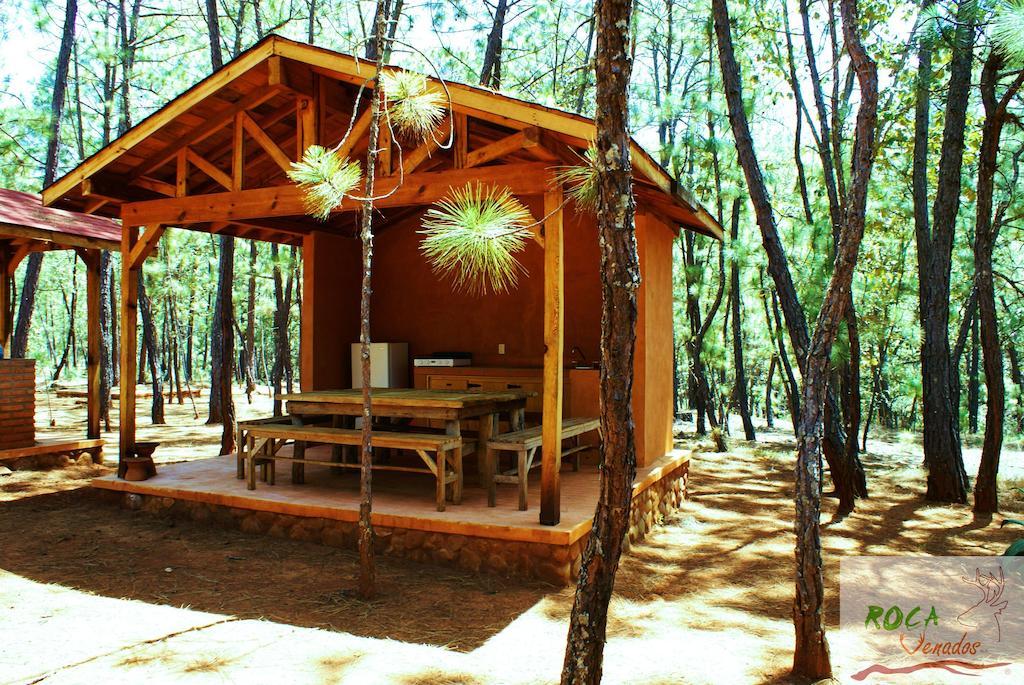 Villa Rocavenados Mascota Zimmer foto